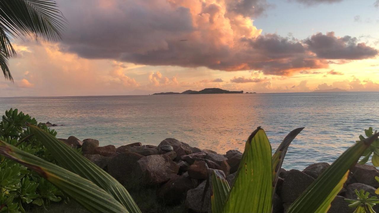 Sunset Cove Villa Grand Anse  Eksteriør billede