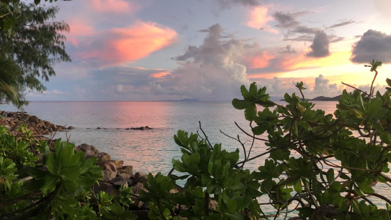 Sunset Cove Villa Grand Anse  Eksteriør billede