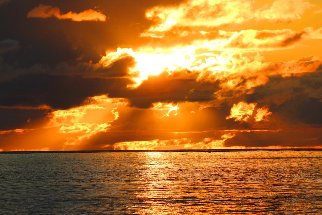 Sunset Cove Villa Grand Anse  Eksteriør billede